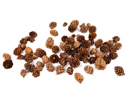 Набір декоративних шишок 100 грам (натуральні матеріали)