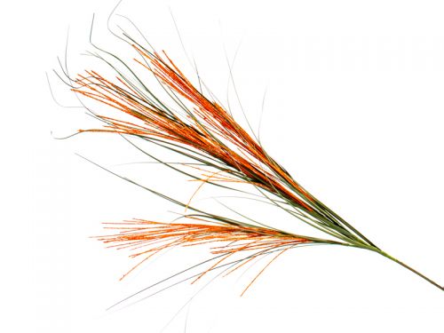 КВIТКА ТРОЯНДИ 60см., СВIТЛО-РОЖЕВИЙ