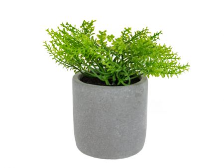 Штучна рослина Розмарин зелений 19х10х10 см (шовк штучний/ пластик/ цемент)