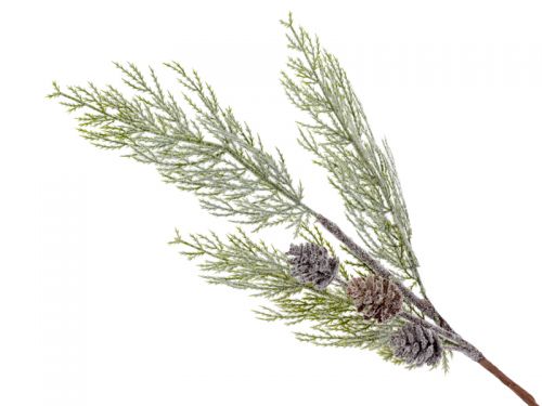 Гілка декоративна хвойна 60 см (пластик)