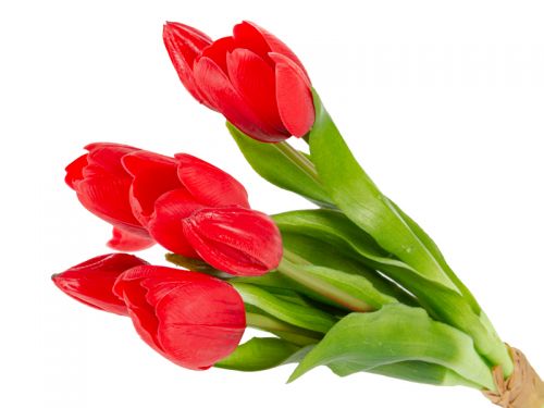 Букет тюльпанів 