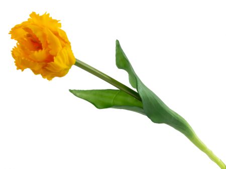 Тюльпан жовтий 40 см