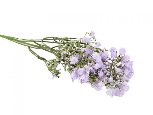 Гілка гіпсофіли гель