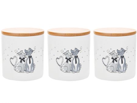 Набір банок для сипких з бамбуковою кришкою 