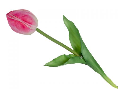 Тюльпан біло-рожевий 43 см (шовк штучний)