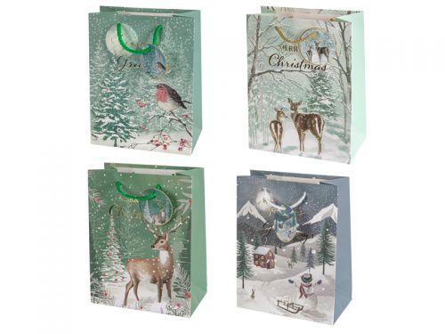 Подарунковий пакет 18х23х10 см (папір)