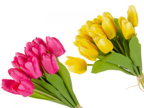 Пучок тюльпана 12голов гель
