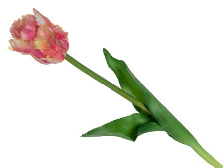 Тюльпан рожевий 47 см (шовк штучний)