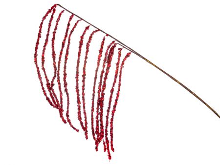 Декоративна гілочка 79х38см