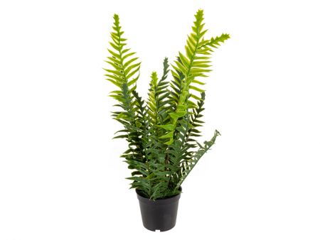 Штучна рослина Папороть зелена 34х30х30 см (пластик / залізо)