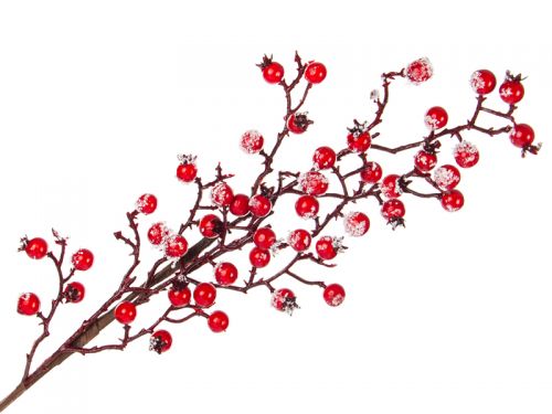 Гілочка декоративна 55см