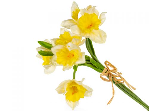Пучок нарциса 6 голів піна
