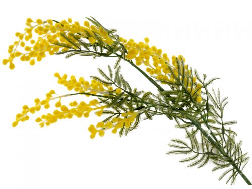 Гілка мімози жовта 80 см (платсик з напиленням)