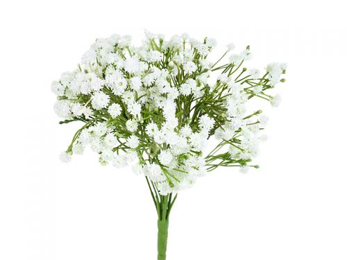 Пучок гіпсофіли