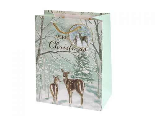 Подарунковий пакет 18х23х10 см (папір)