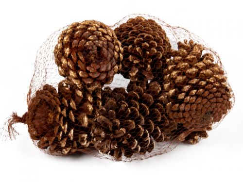 Набір декоративних шишок 6 шт (натуральні матеріали)