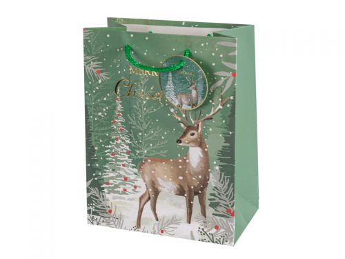 Подарунковий пакет 18х23х10 см (папір)