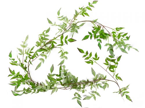 Ліана нандіни 1,75 м