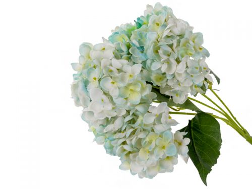 Букет гортензії 5 голів 50см