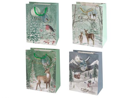 Подарунковий пакет 18х23х10 см (папір)