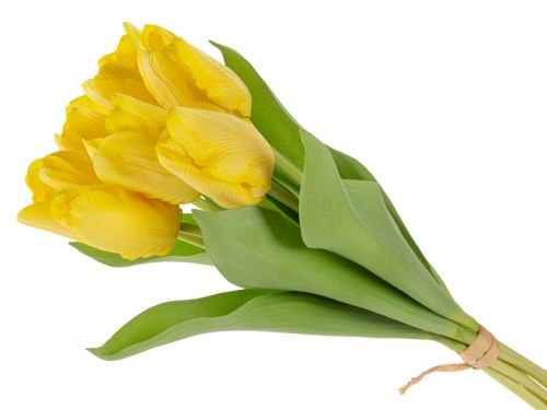 Пучок тюльпана гель