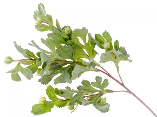 Гілка хризантеми з напиленням 80см