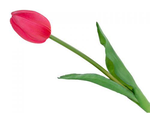 Тюльпан червоний 43 см (шовк штучний)