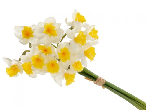 Букет нарцисів із 3 штук білий 50 см (силікон)