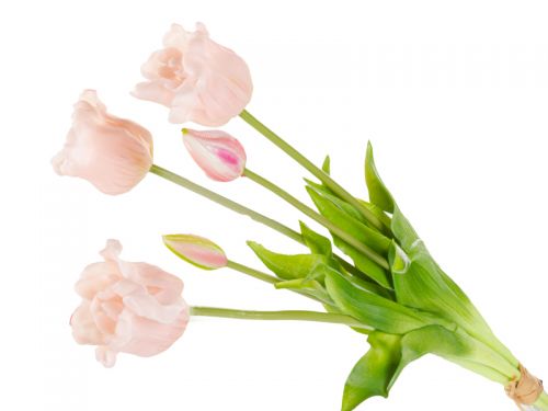 Букет тюльпанів 