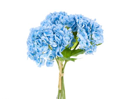 Гортензія 5 ка міні, фоам