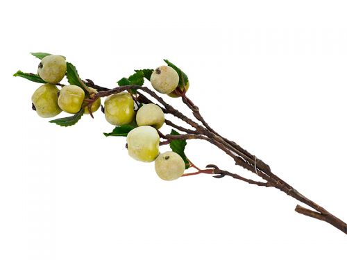 Гілка райських яблучок