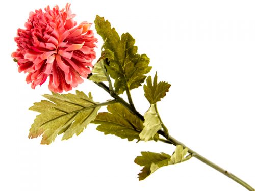 КВIТКА хризантеми 55см.