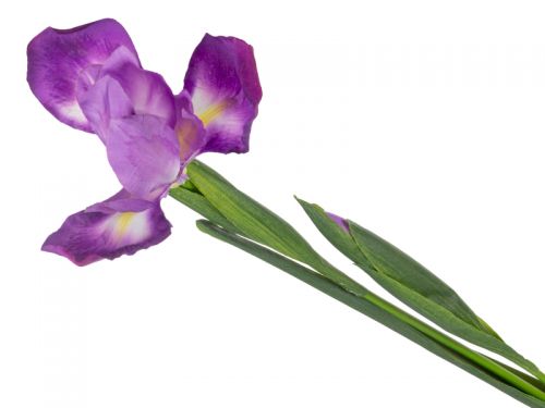 Ірис ліловий 76 см (пластик)