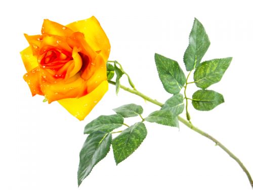 КВIТКА ТРОЯНДИ 65см. помаранчева