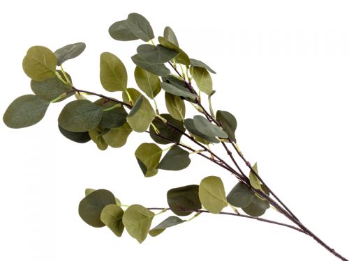 Гілка евкаліпта зелена 90 см