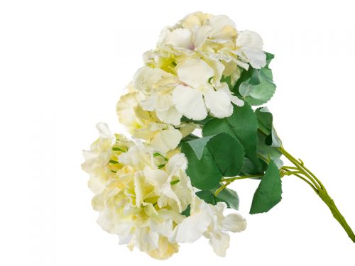 Букет гортензії 5 голів