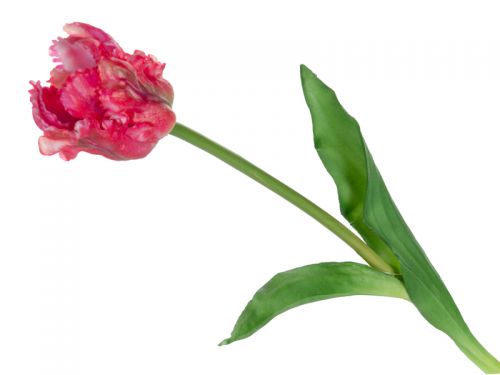 Тюльпан червоно-рожевий 47 см (шовк штучний)