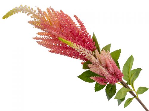 Астильба фуксія 86 см