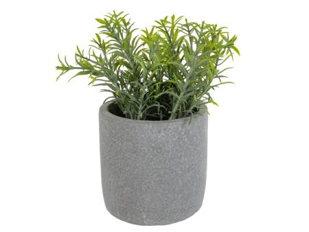 Штучна рослина Розмарин зелений 19х10х10 см (шовк штучний/ пластик/ цемент)