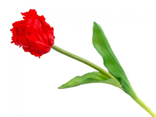 Тюльпан червоний 40 см