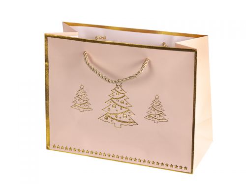 Подарунковий пакет 23х17х10 см (папір)