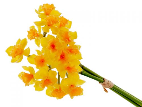 Букет нарцисів із 3 штук жовтий 50 см (силікон)