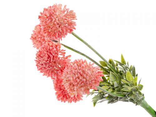 Букет дикого часнику рожевий 30 см (пластик)