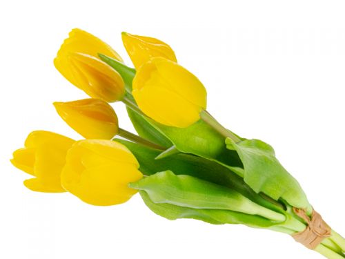 Букет тюльпанів 