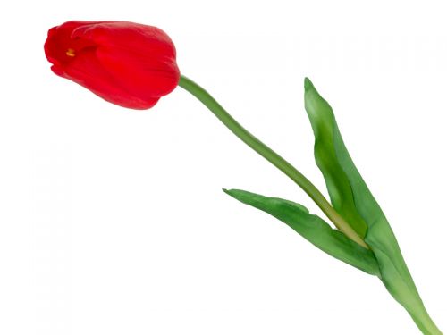 Тюльпан червоний 44 см  (шовк штучний)