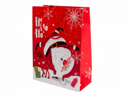 Подарунковий пакет 18х24х8,5 см (папір)