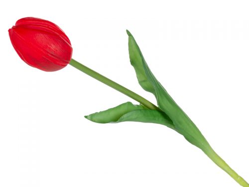 Тюльпан фуксія 43 см (шовк штучний)