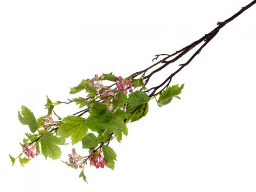 Гілка калини 100 см