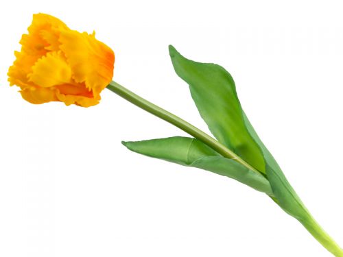 Тюльпан помаранчевий 40 см