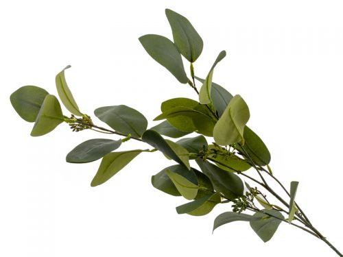 Гілка Евкаліпта зелена 93 см